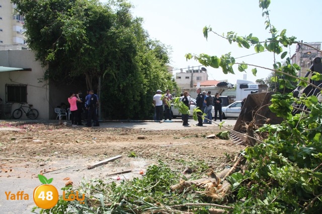 hadmqobtan423zoher (24).JPG